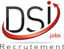 DSI . fr recrutement de dsi